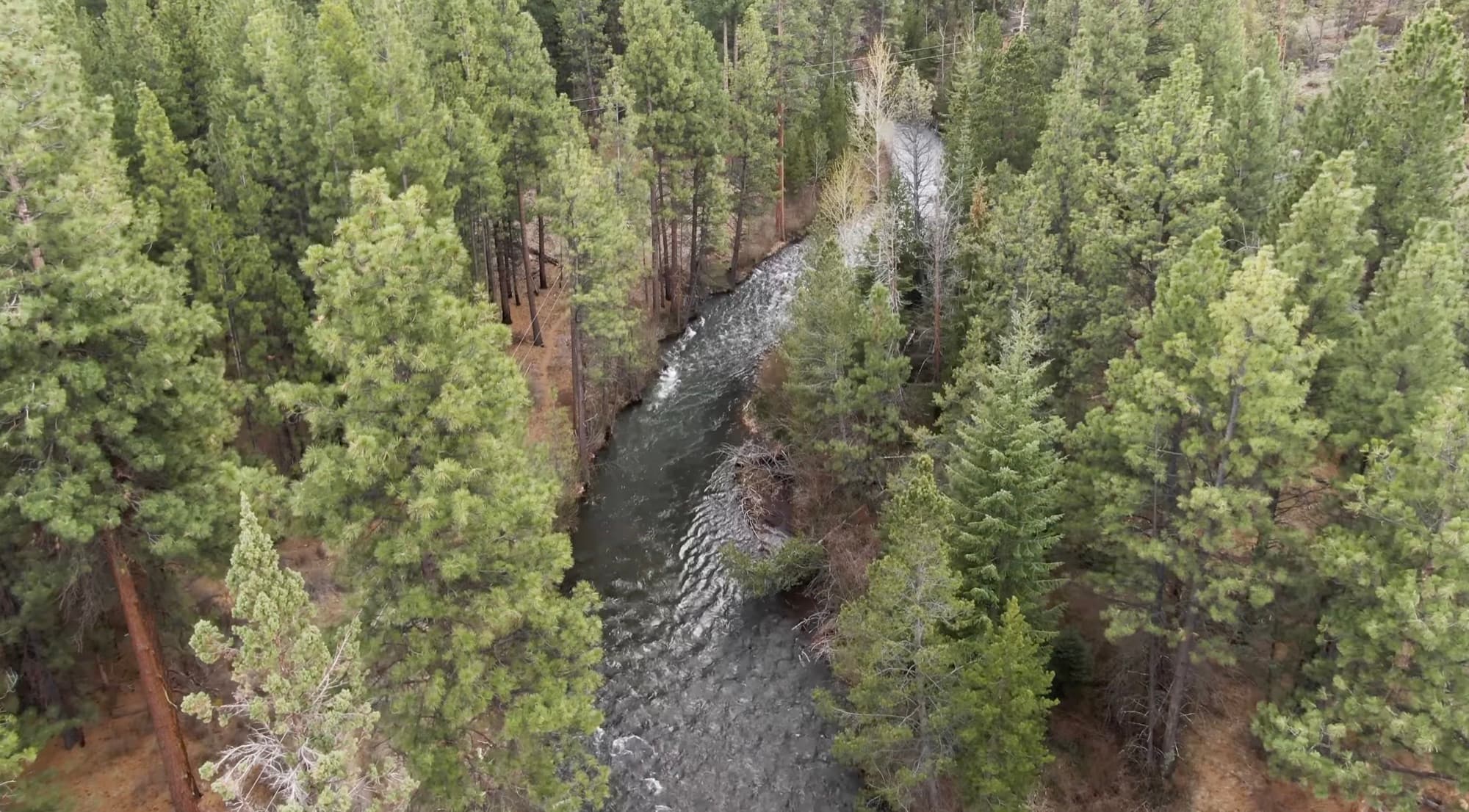 Aerial view of an Oregon river restoration project